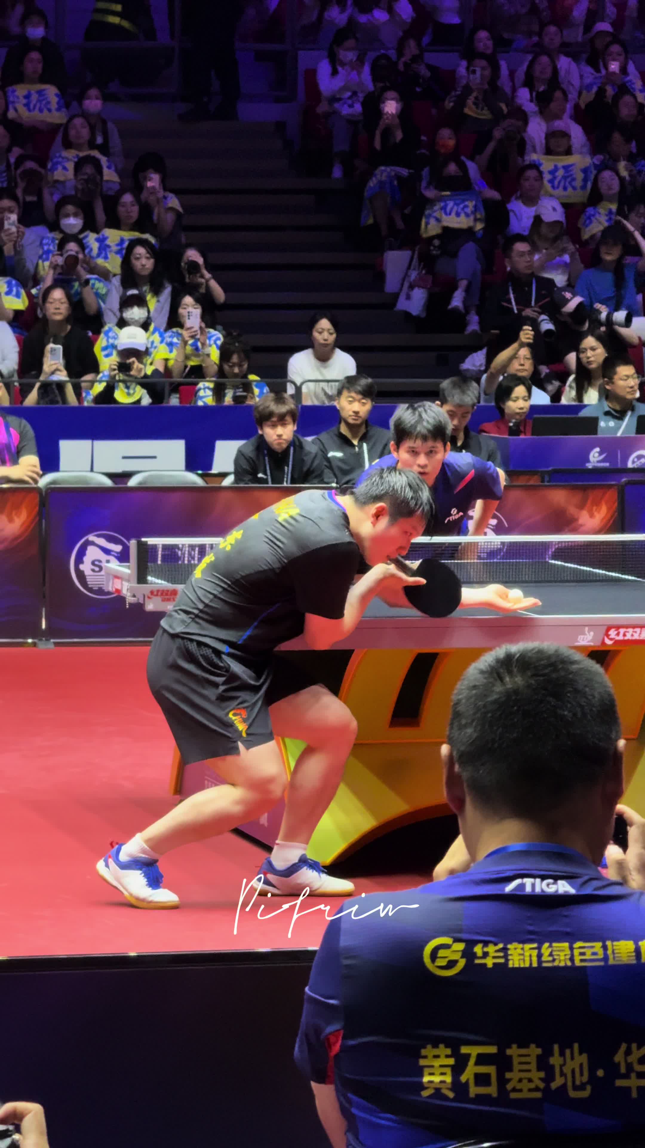 奥地利乒乓球队鏖战日本乒乓球队,樊振东制霸全场的简单介绍 奥地利乒乓球队鏖战日本乒乓球队,樊振东制霸全场的简单介绍