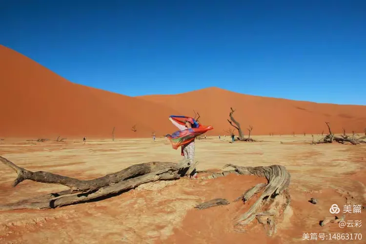 关于纳米比亚对津巴布韦,评估进攻组合的信息 关于纳米比亚对津巴布韦,评估进攻组合的信息